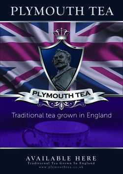 A3 Plymouth Tea Poster of Box